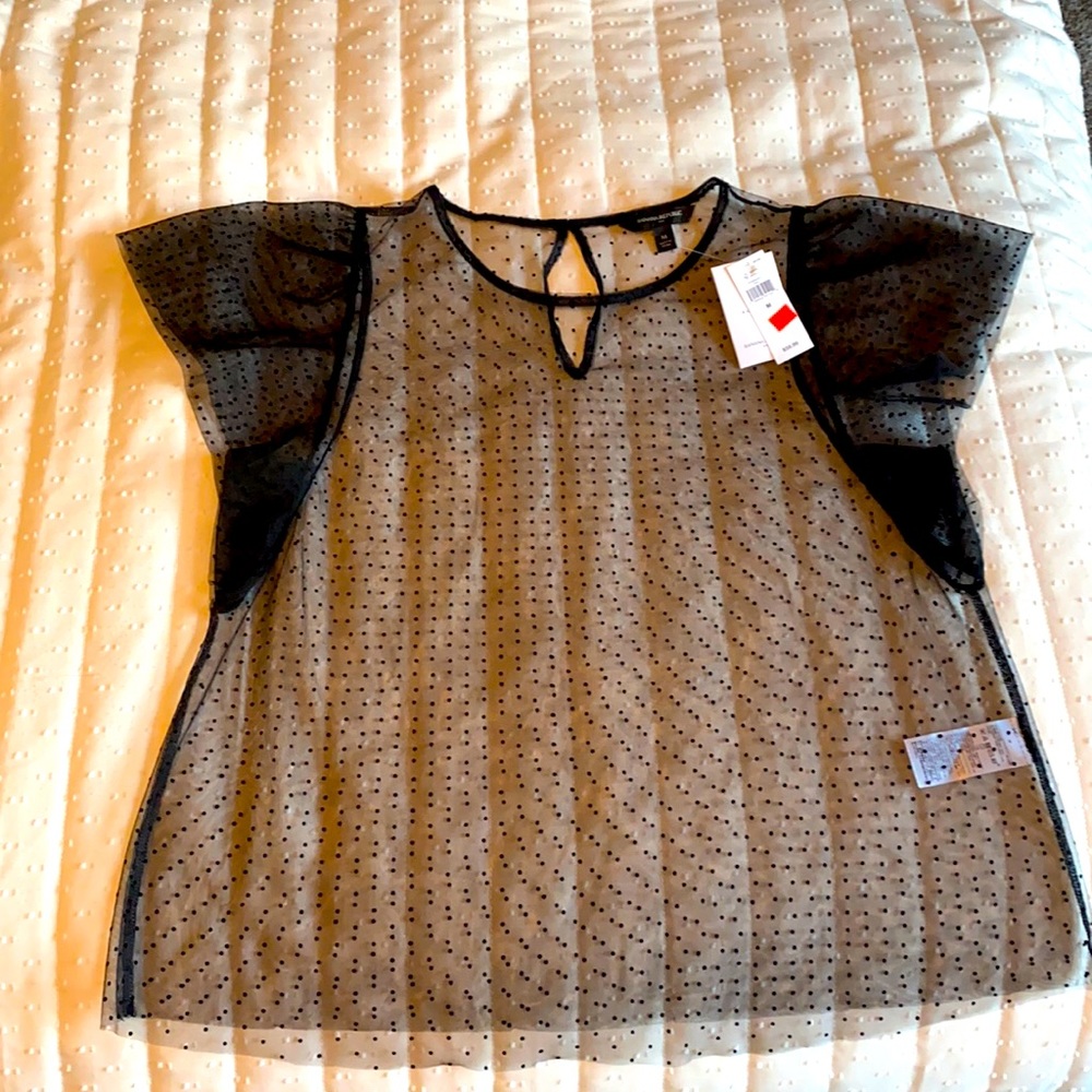 Beautiful sheer Banana Republic top nwt size m